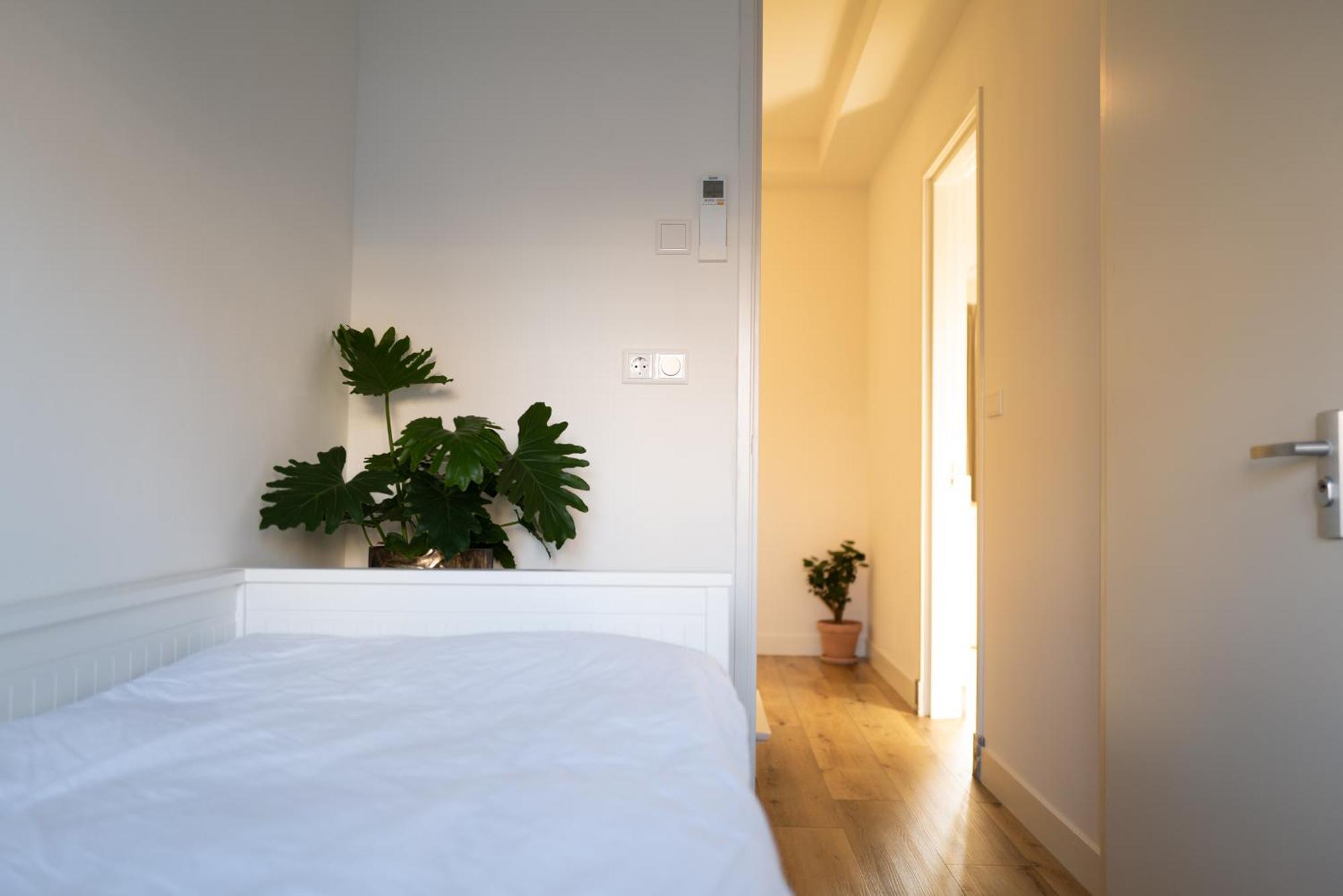 Sea Street 32 Apartment Зандвоорт Екстериор снимка